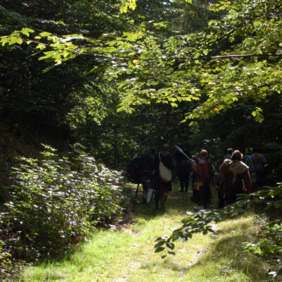 LARPer im Wald